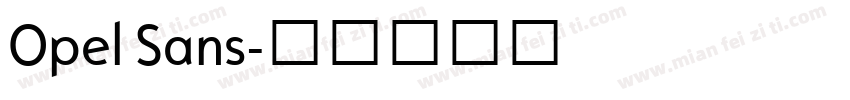 Opel Sans字体转换